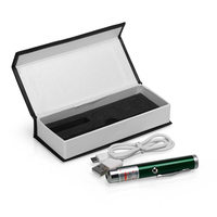 Stylo pointeur laser portable mini USB 532nm vert 650nm rouge avec batterie intégrée