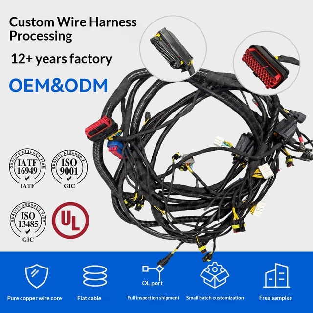 Teonle 12-year-old Wire Harness Factory Custom Automotive Wire Harnesses Industrial Connecting Wires New Energy High/low