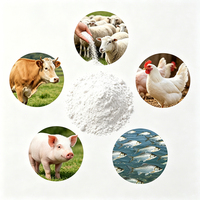 Bacillus Coagulans Probiotique Certifié GMP ISO, Approvisionnement en Vrac Direct Usine, Emballage OEM Marque Privée pour Animaux d'Élevage (Promotion)