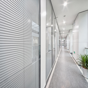 Cortinas de rodillo dobles eléctricas hechas a medida modernas, vinilo de 25mm, Mini tratamientos de ventana opaca de PVC para uso en el baño - Product Image 5