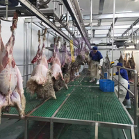 Abattoir Complet pour 150-500 Têtes par Jour, Spécialisé dans la Viande de Chèvre et d'Agneau