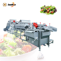 Lonkia Baby Spinazie Sla Kool Fruit En Salade Productielijn Bladgroenten Snijden Wassen En Verpakken Productielijn