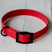 Ensemble de laisse et collier pour chiens et chats en cuir TPU PVC imperméable avec impression personnalisée en couleur en gros, avec nom, accessoires pour chiots Pitbull