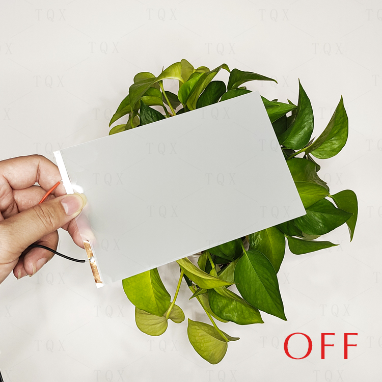 Alta Trasparenza (165*105 mm)