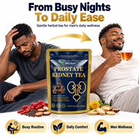 Tisane pour la Prostate et les Reins – Bien-être Masculin – Sachets de Tisane aux Herbes – Vitalité Quotidienne – Soutien Urinaire – Mélange Botanique Naturel – Fournisseur en Gros