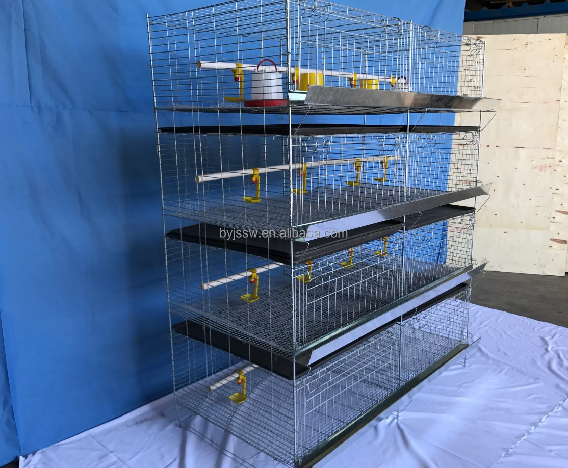 高品质的婴儿小鸡笼出售,小鸡繁殖笼