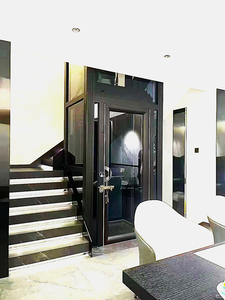 Ev Tipi Üç Katlı Hidrolik Çelik Engelli Asansörü Konut Tipi Küçük Asansör Yeni Fiyat - Product Image 3