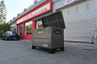 Générateur silencieux au gaz naturel 10-20KW à 2 cylindres avec ATS intégré, châssis en acier, AVR, alimentation en vrac pour l'alimentation de toute la maison