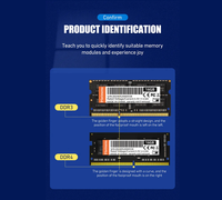 Memori Laptop DDR3L 8GB 1600MHz SODIMM, Pasokan Langsung Pabrik OEM ODM untuk Notebook PC