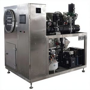 Máquina de Deshidratación de Vegetales Pequeña, Secador por Congelación al Vacío para Okra, Línea de Procesamiento de Liofilización de Alimentos - Product Image 1