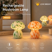 Lampe de table en verre en forme de champignon rechargeable USB-C, 3 températures de couleur, tactile, à intensité variable, sans fil, pour la décoration intérieure, cadeau, chevet