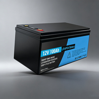 Batterie LiFePO4 liquide sur mesure 12V 100Ah à cycle profond 3000+ cycles, BMS 100A 4 cellules, -20~55°C, pour camping-car et solaire