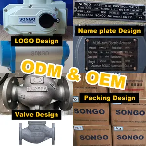 ANSI 150สแตนเลส304นิวเมติกไดอะแฟรม Modulating วาล์วสูบลมชนิดซีลนิวเมติกน้ำไอน้ำโลกวาล์วแปลน