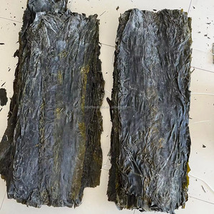 Dry <strong>Kelp</strong> Laminaria Green Algae Kombu Bulk <strong>Seaweed</strong> Dried <strong>Kelp</strong> - Product Image 4