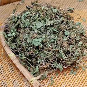 Hot selling dried plants herbal tea centella asiatica for tea