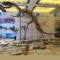 Squelette de T-Rex en fibre de verre grandeur nature, réplique de fossile de dinosaure sur mesure pour la décoration des musées, des centres commerciaux