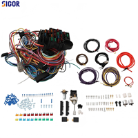 Arnés de Cables Universal de 22 Circuitos con Conector GM para Columna de Dirección, Cables de Cobre GXL Codificados por Colores para Autos Clásicos, Hot Rods y Camionetas