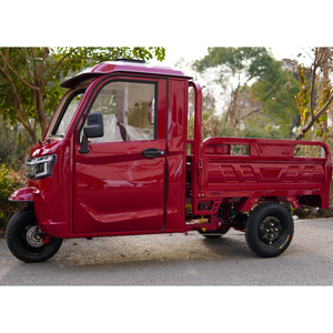 UE en stock COC EEC Obtenido Certificación de carretera alemana Triciclo eléctrico 3000W 72V Carro de movilidad para transporte de carga - Product Image 4