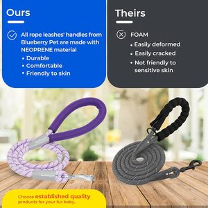 Blueberry Pet Durable Diagonal Striped Collar Leash Set con cómodo mango de neopreno, rosa, 6 pies, correas de entrenamiento fuertes para perros - Product Image 2