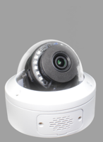 Caméra IP de sécurité PoE 5MP 30fps, vision nocturne couleur IR, détection de mouvement humain, micro intégré, extérieur, dôme anti-vandalisme entièrement métallique IK10