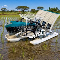 Transplanteuses de riz à essence 2,6 kW 175 kg avec logo personnalisé OEM ODM pour l'Afrique et Madagascar, transport facile
