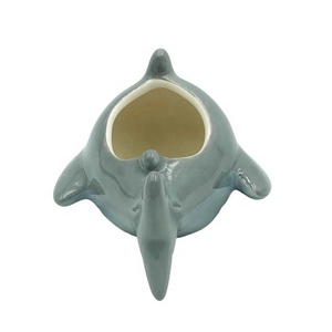 Venta al por mayor de <span class=keywords><strong>Impatiens</strong></span> bálsamo suculentas maceta con tiburón forma para la decoración del hogar - Product Image 4