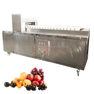 Máquina deshuesadora de cerezas eléctrica industrial Equipo para deshuesar aceitunas con núcleo de motor a la venta - Product Image 4