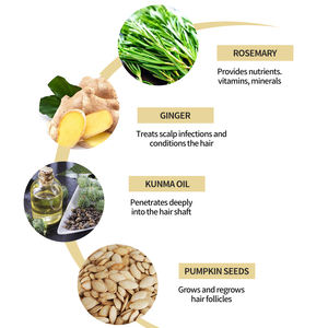 Private Label olio per la crescita dei capelli al rosmarino biologico naturale trattamento per la ricrescita dei capelli massaggio per la cura del cuoio capelluto olio per cuoio capelluto - Product Image 2