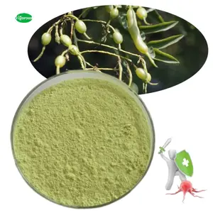 Nhà máy hữu cơ Sophora Japonica chiết xuất 98% kaempferol bột