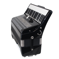 Accordéon Piano Instruments de Musique Officiel Authentique Parrot 41 Touches 120 Basses Instrument pour Adulte Débutant Accordéon à Quatre Rangées de Lames