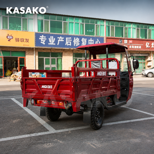 Tricycle cargo motorisé avec <span class=keywords><strong>side</strong></span>-<span class=keywords><strong>car</strong></span>, carrosserie fermée, 3 passagers, moteur <span class=keywords><strong>à</strong></span> essence 151-200cc, capacité de charge supérieure <span class=keywords><strong>à</strong></span> 400 kg - Product Image 3