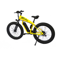 Vélo Électrique Pliant Fat Tire South Ron 48V 250W de Fabrication Chinoise - Meilleur Prix de Gros pour Hommes
