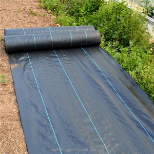 Tecido De Paisagem Tecido PE Estufa Agrícola Cobertura De Solo De Plástico Weed Mat - Product Image 1