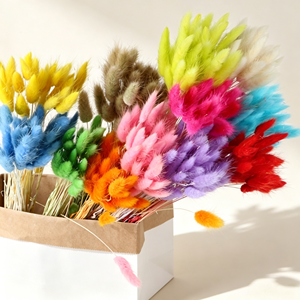 Pampas de Hierba de Cola de Conejo Auténticas para Decoración de Bodas, Hogar, Graduaciones y Festivales, para Hacer Ramos, Flores Secas, <span class=keywords><strong>Phalaris</strong></span> - Product Image 4