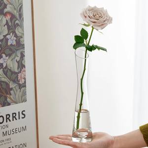 Florero Moderno Escandinavo Pequeño, Hidropónico, Mini, de Vidrio Transparente, Estilo Ins, para Arreglos Florales, Decoración de Hotel - Product Image 6