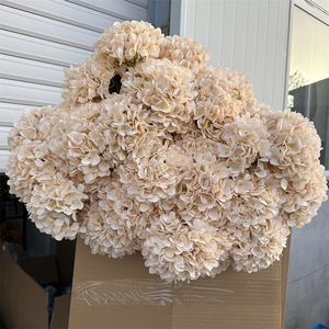 CM-TH623 Flor Artificial de Buena Calidad, Hortensia Blanca Individual al por Mayor para Floristerí<span class=keywords><strong>a</strong></span> - Product Image 4