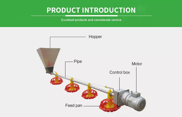 Poultry Farming Automatic Chicken Feeding Pan System Broiler Breeder Feeding Line