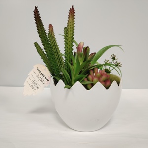 Arreglo <span class=keywords><strong>de</strong></span> Plantas Suculentas Artificiales en Maceta <span class=keywords><strong>de</strong></span> Cerámica Blanca - <span class=keywords><strong>Cactus</strong></span> Artificial Realista para Decoración del Hogar, Oficina y Escritorio - Product Image 1