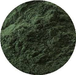 有机抹茶粉礼仪级日本Aaaaaa高级抹茶绿茶粉 - Product Image 2
