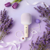 Microphone portable personnalisable OEM ODM pour haut-parleurs sans fil portables mignons à LED RGB, en métal et plastique, entrée AUX, DC 10-30W
