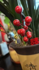 Kral inci EPS büyük çaplı değişim performansı özelleştirilebilir parçacık boyutu ColorEPS CAS14235-54-2 ambalaj malzemeleri için - Product Image 4