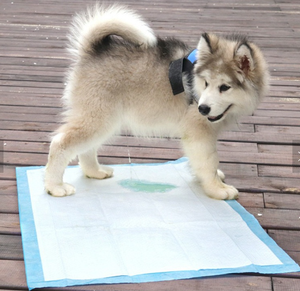 Hohe Saugfähig keit 45x60cm Einweg-Hundekatzen-Trainings-Pee-Pads Carbon-Aktiv matratze mit wasserdichtem Kunststoff gewebe material - Product Image 1