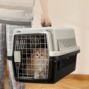 Transportín de Plástico Pequeño para Mascotas con Puerta de Alambre de Hierro, Transpirable, para Gatos y Perros Pequeños - Product Image 3