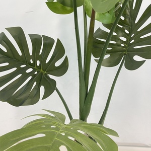 Haute Qualité Réaliste En Plastique Turtleback En Pot Succulent <span class=keywords><strong>Monstera</strong></span> <span class=keywords><strong>Variegata</strong></span> Deliciosa Eaf HD Vert Feuille Arbre <span class=keywords><strong>Plante</strong></span> Artificielle - Product Image 4