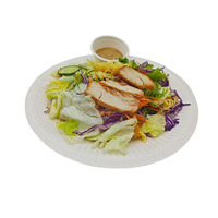 Assiette ronde de 20 cm (8 pouces) en bagasse de canne à sucre 100 % compostable, sans PFAS, biodégradable, en fibre écologique, jetable, pour restaurants et fêtes