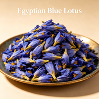Vente en gros d'usine : Fleurs de lotus bleu entières fraîches (Nymphaea Caerulea) – Boîte de thé aux herbes naturelles – Approvisionnement en vrac