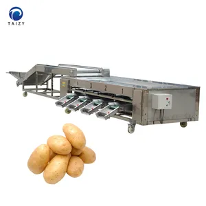 Trieuse dimensionnelle/machine de classement de pommes de terre/calibreuse de fruits