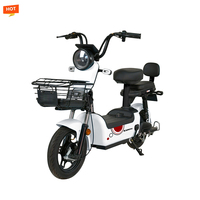 Vélo électrique de ville 48V 350W, pneu de 14 pouces, batterie au plomb-acide, assistance au pédalage, trottinette électrique avec grand panier