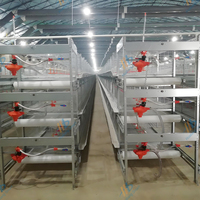 La Chine Poulette Poulet Poulet Poulailler Type H Poussin Cage avec Prix Compétitif