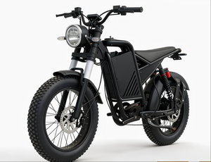 Vélo électrique 20 pouces sans balais 800W 48V avec batterie au lithium, autonomie 60km, noir, moteur moyeu arrière tout-terrain, freins à disque, 7 vitesses, haute performance - Product Image 1